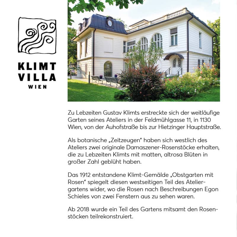 Klimt Villa Klimt Rose Werkstatt am Maximzocktslotzat