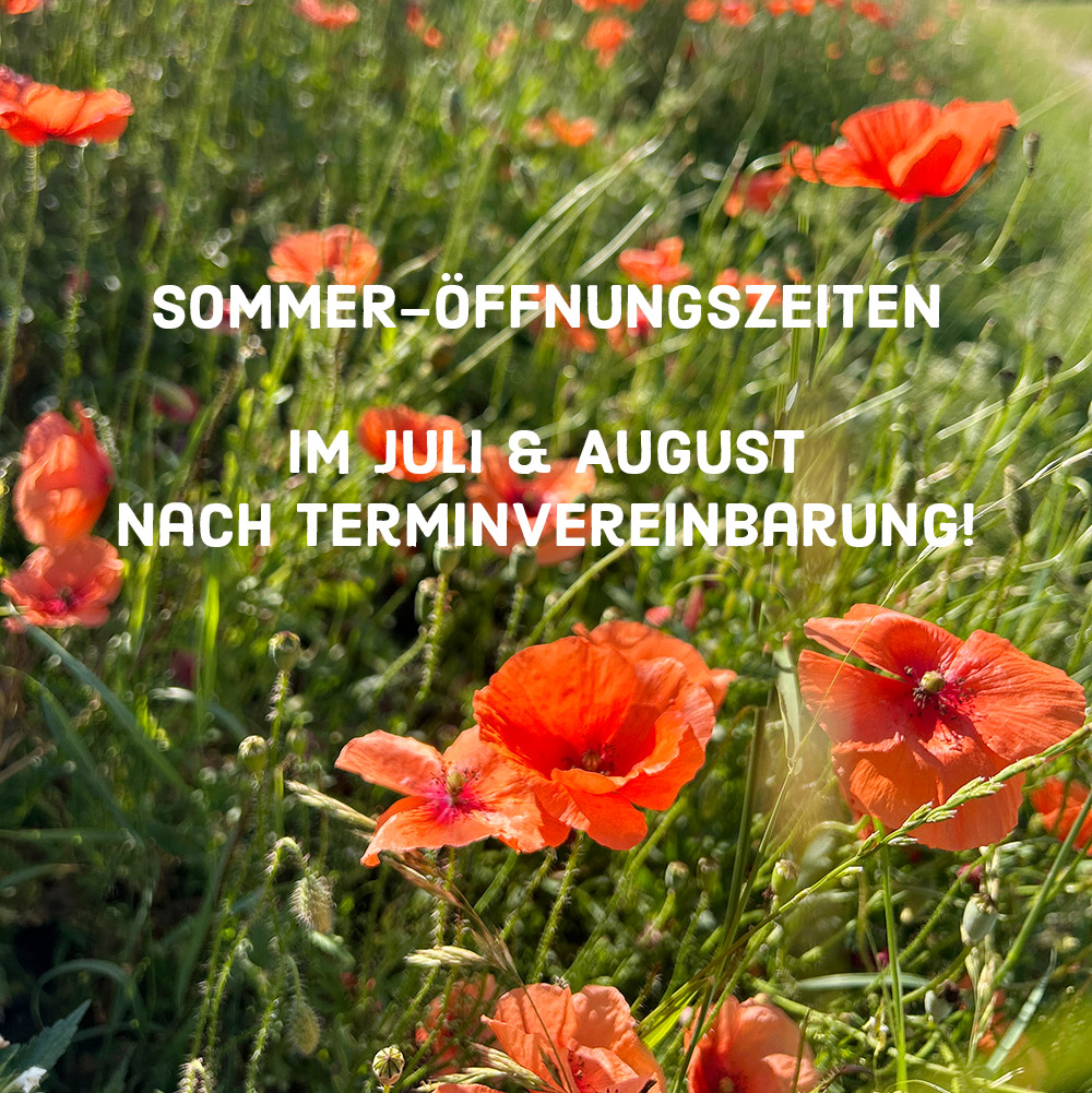 Sommer Öffnungszeiten Werkstatt am Kleinen Ring